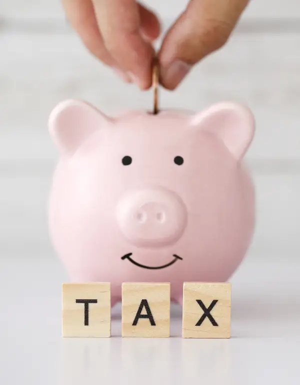 a hand holding a coin above a happy pink piggy bank with scrabble letters T A X in front of it. the background is white